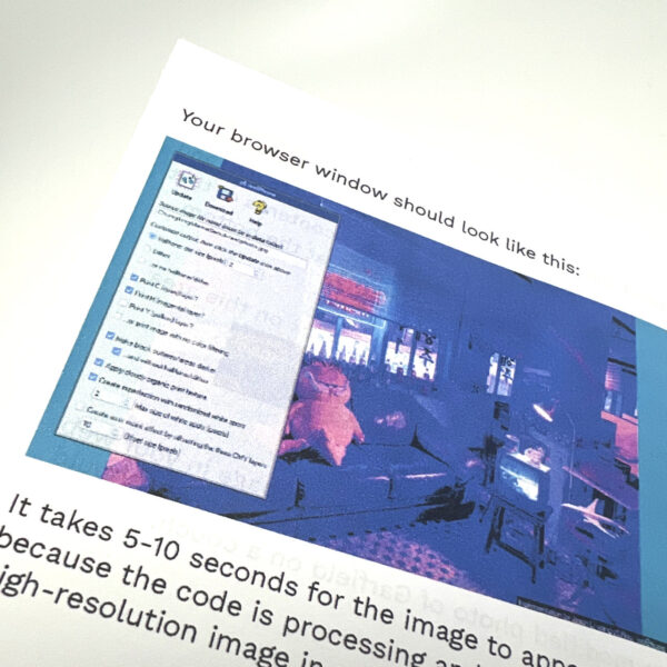 A closeup of a page in the zine showing a screenshot of what the browser window should look like when it is set up correctly.